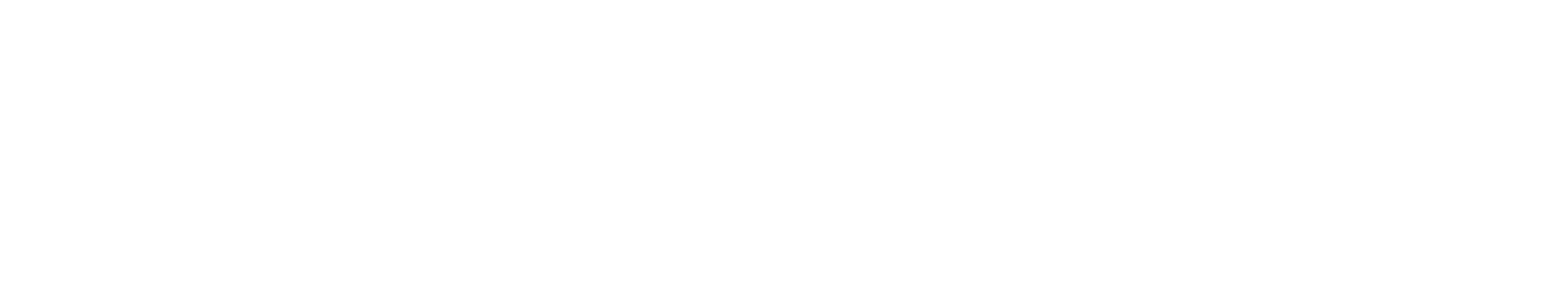 الشبكة الإخبارية الأولي